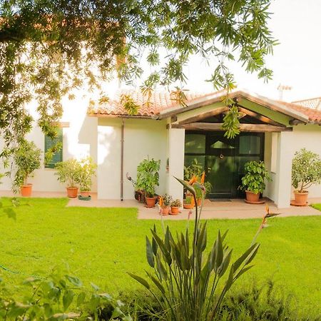 Villa Aurora Olbia Exteriér fotografie