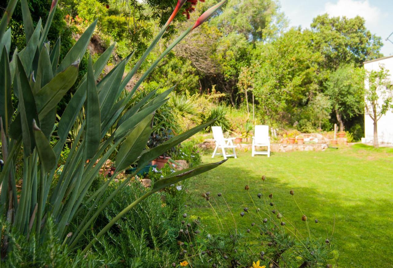Villa Aurora Olbia Exteriér fotografie